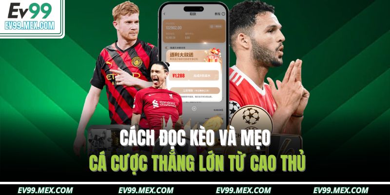 Cách đọc kèo và mẹo cá cược thắng lớn từ cao thủ