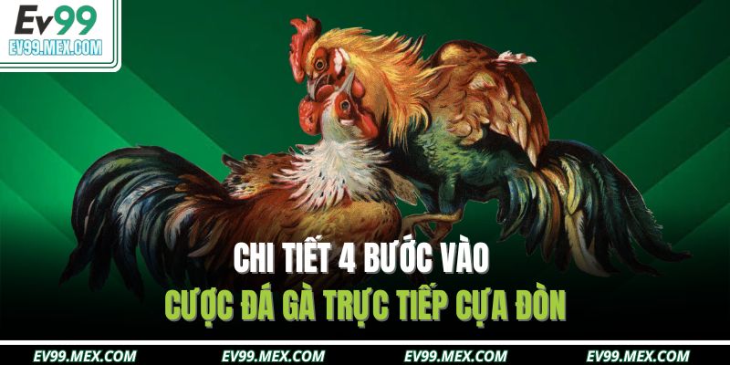 Chi tiết 4 bước vào cược đá gà trực tiếp cựa đòn