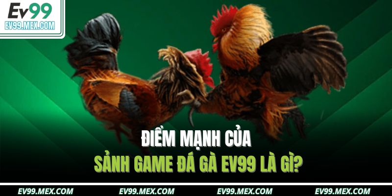 Điểm mạnh của sảnh game đá gà EV99 là gì?