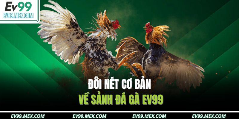 Đôi nét cơ bản về sảnh đá gà EV99