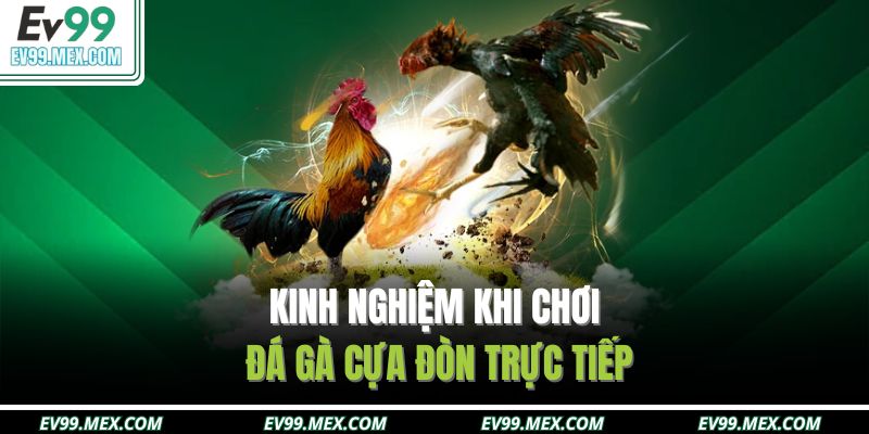Kinh nghiệm khi chơi đá gà cựa đòn trực tiếp
