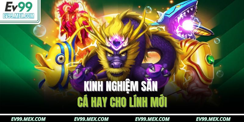 Kinh nghiệm săn cá hay cho lính mới