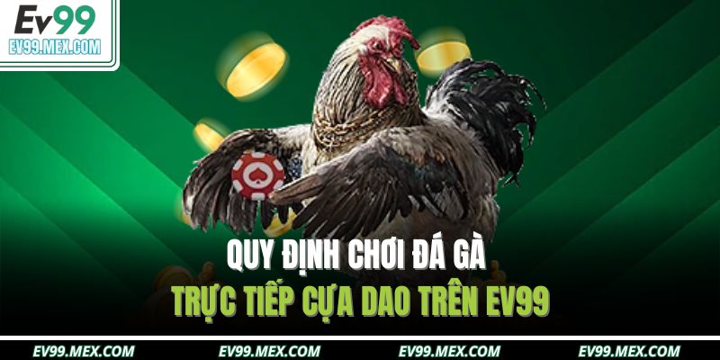 Quy định chơi đá gà trực tiếp cựa dao trên EV99