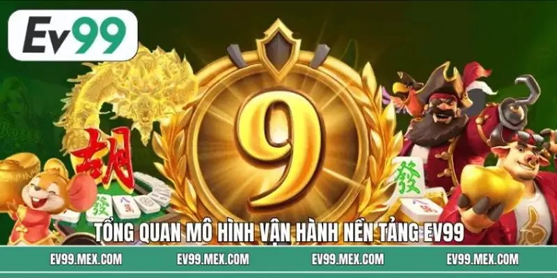 Tổng quan mô hình vận hành nền tảng EV99